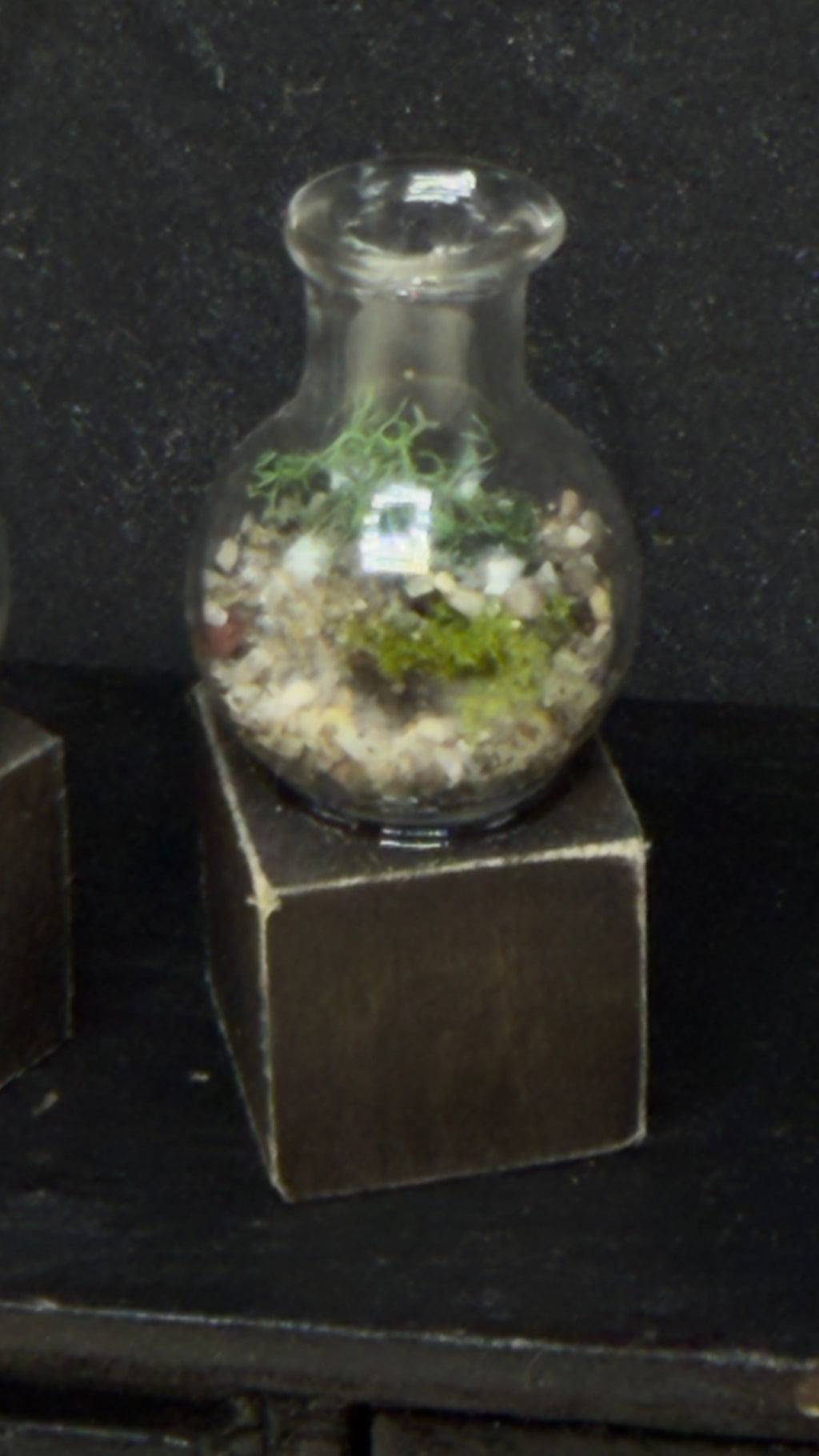 Miniature Glass Terrarium for Dollhouse Diorama