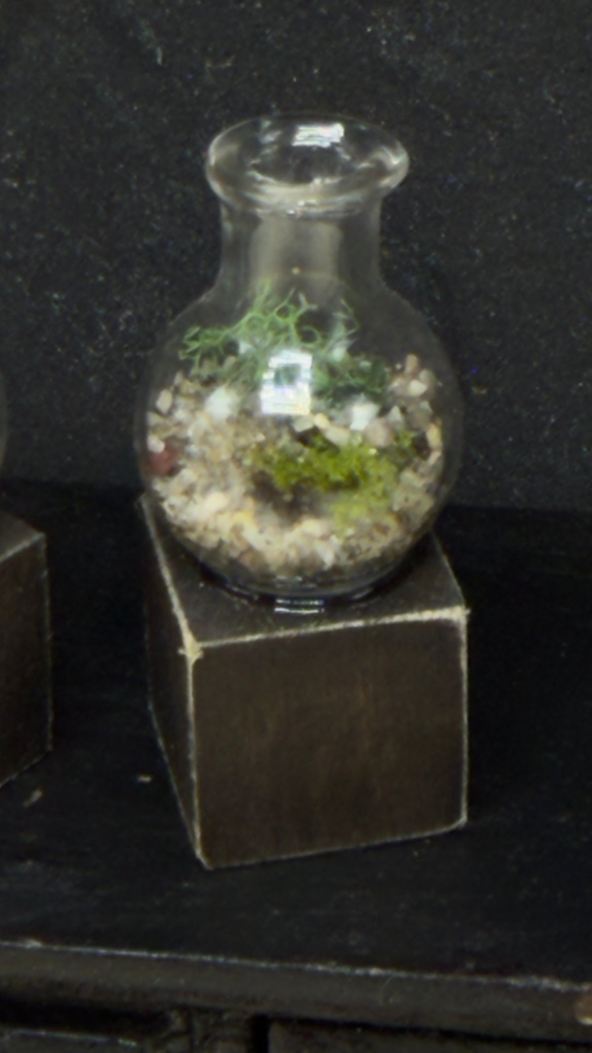 Miniature Glass Terrarium for Dollhouse Diorama