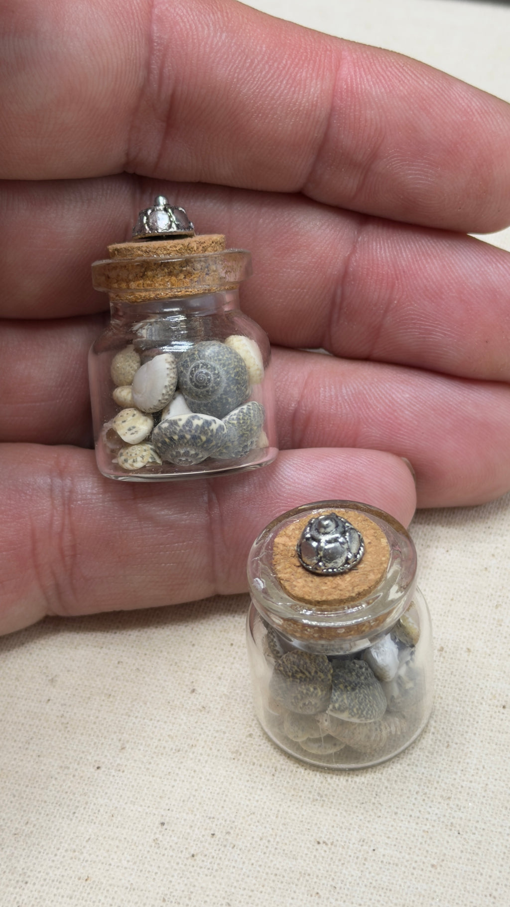 Miniature Jar of Shells for Dollhouse Decor