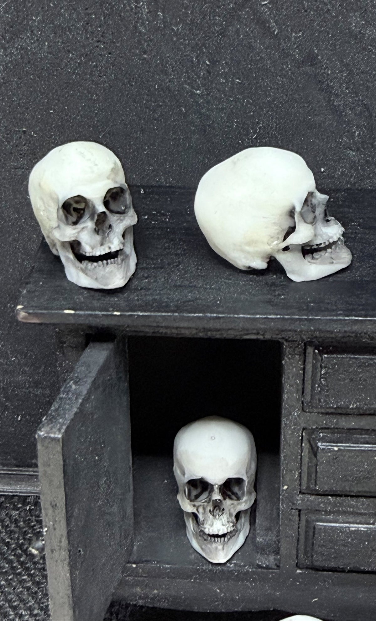 The Relic — 1:12 Miniature Hyper-Realistic Skull